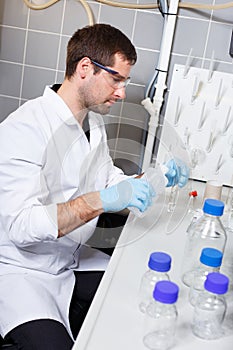 Scientist research in a lab environment