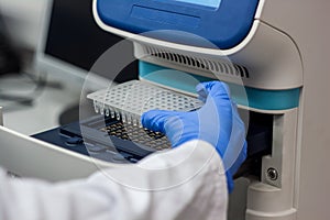 Scientist or researcher or phd student put dna samples into pcr