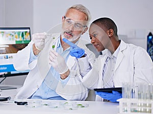 Scientist, science team with test tube and plant, black woman and senior man with medical research in lab. Mentor