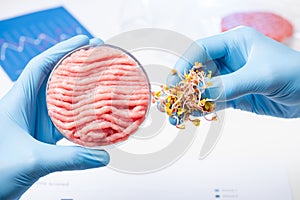 Scientist show pinch of plant material for animal meat substitute. Artificial laboratory vegetable source based meat