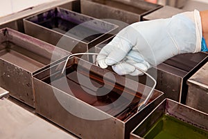 Scientist staining microscope slides for cytology studies in the laboratory