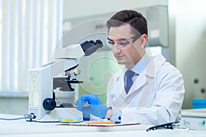 Scientist studies properties and benefits of omega 3 fatty acids using microscope and laboratory equipment in a medical