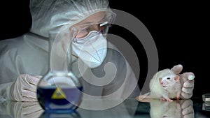 Scientist studying rat reaction after poisoning, antidote development, toxin photo