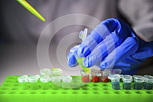 Scientist taking out green chemical solution from eppendorf tube on a white bench background for medicinal chemistry