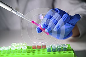 Scientist taking out pink chemical solution in eppendorf tube and pipette for biomedical research with tube rack on a white bench photo