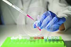 Scientist taking out pink chemical solution from eppendorf tube on a white bench background for molecular biology