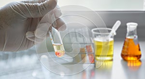 The scientist test the natural product extract, oil and biofuel, an orange color solution, in the chemistry laboratory