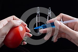 Scientist testing GMO plant in laboratory on tomato-biotechnology and GMO concept. GMO genetically modified food. Hands holding a