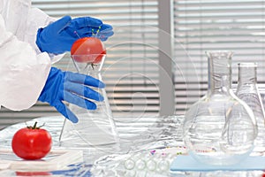Scientist with tomatoes in lab - close up