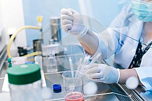 Scientist using dropper pipette transfer sample