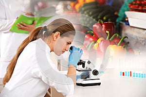Scientist using modern microscope at table. Food quality analysis
