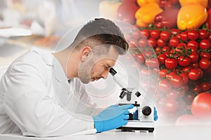Scientist using microscope at table in laboratory. Food quality analysis