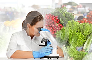 Scientist using modern microscope at table. Food quality analysis