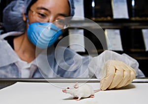 Scientist with white mouse