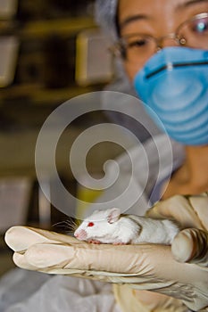 Scientist with white mouse