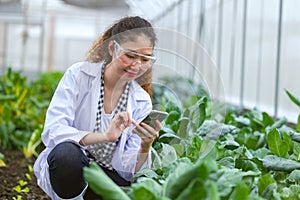 Scientist woman researcher staff worker collecting study plant information in agriculture farm. Agricultural Science concept