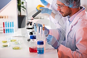 Scientist during work at modern biological laboratory