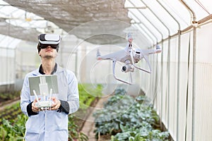 Scientist or worker use remote controller piloting drone at Garden vegetable lab for checking Plants.