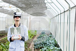 Scientist or worker use remote controller piloting drone at Garden vegetable lab for checking Plants. Scientist use remote control