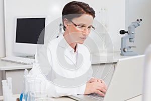 Scientist working attentively with laptop