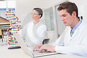 Scientist working attentively with laptop and another with dna model