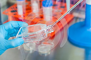 Scientist working with a cell culture flask