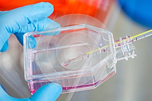 Scientist working with a cell culture flask