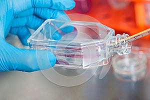 Scientist working with a cell culture flask