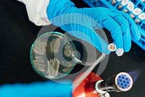 Scientist working with Eppendorf vials with a sample. Concept of laboratory work