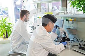 Scientist working in lab. Doctors making medical research. Biotechnology, chemistry, science, experiments and healthcare