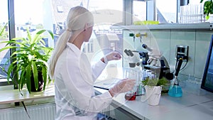 Scientist working in lab. Female doctor making medical research. Laboratory tools: microscope, test tubes, equipment