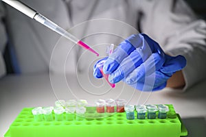 Scientist working with pink solution in eppendorf tube and pipette for biomedical research with tube rack on a white bench