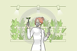 Scientist working with plants in greenhouse