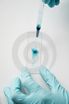 Scientist working with reagent and glass microscope slide in lab