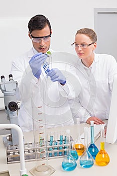 Scientists examining a leaf photo