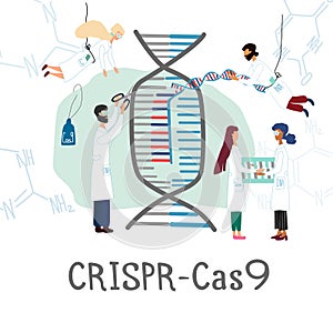 Scientists illustrated how CRISPR CAS9  works. Gene editing tool research .