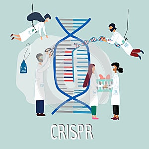 Scientists illustrated how CRISPR CAS9  works. Gene editing tool research .