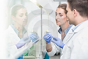 Scientists in laboratory preparing samples under splashback