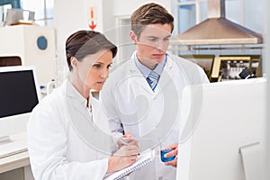 Scientists looking attentively at computer