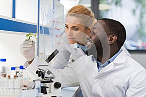 Scientists Looking At Sample Of Plant Working In Genetics Laboratory, Mix Race Couple Of Researchers Analyzing Result Of