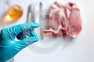 Scientists take samples of factory-produced meat prepared on a microscope slide to check the quality of the meat specimens in the
