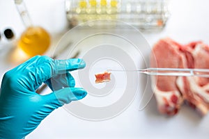 Scientists test for harmful substances contaminated in meat specimens on microscope slides by drop reagents to check the quality