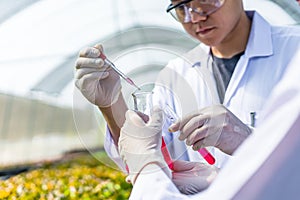 Scientists test the solution, Chemical inspection, Check freshness  at organic, hydroponic farm