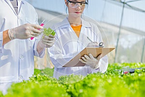 Scientists test the solution, Chemical inspection, Check freshness  at organic, hydroponic farm