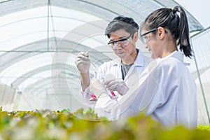 Scientists test the solution, Chemical inspection, Check freshness  at organic, hydroponic farm