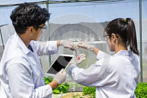 Scientists test the solution, Chemical inspection, Check freshness  at organic, hydroponic farm