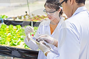 Scientists test the solution, Chemical inspection, Check freshness  at organic, hydroponic farm