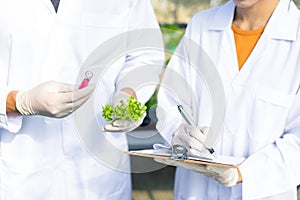 Scientists test the solution, Chemical inspection, Check freshness  at organic, hydroponic farm