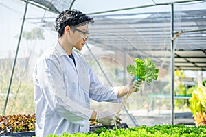 Scientists test the solution, Chemical inspection, Check freshness  at organic, hydroponic farm