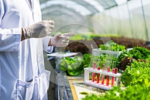 Scientists test the solution, Chemical inspection, Check freshness  at organic, hydroponic farm